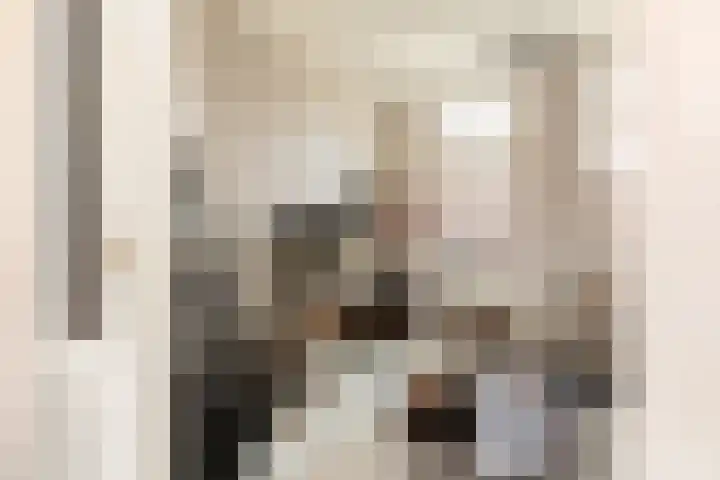 Anjelierstraat 12 Sneek thumbnail 4