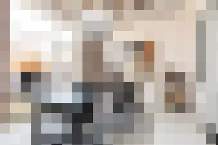 Anjelierstraat 12 Sneek thumbnail 7