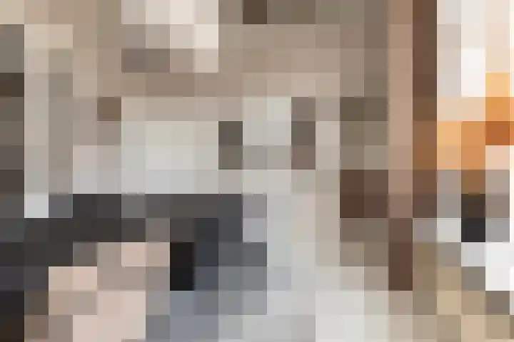 Anjelierstraat 12 Sneek thumbnail 8