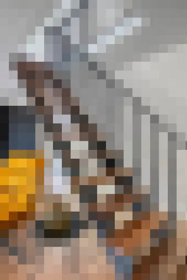 Anjelierstraat 13 Beuningen Gld thumbnail 25