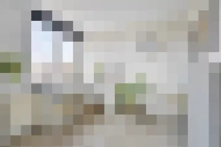 Anjelierstraat 13 Beuningen Gld thumbnail 30