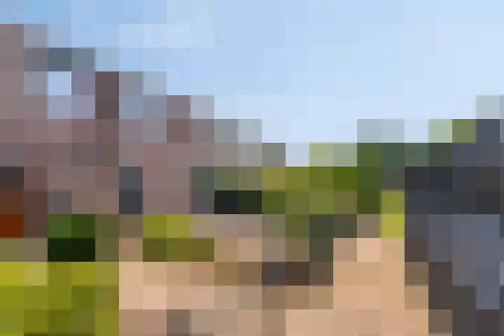 Anjelierstraat 13 Beuningen Gld thumbnail 6