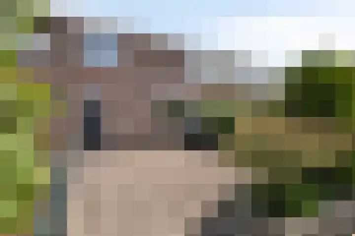 Anjelierstraat 13 Beuningen Gld thumbnail 7