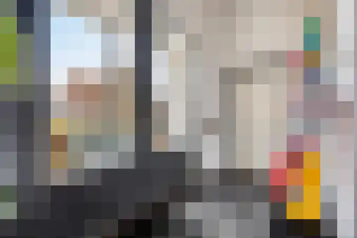 Anjelierstraat 13 Goes thumbnail 12