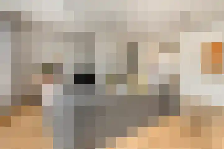Anjelierstraat 13 Goes thumbnail 14