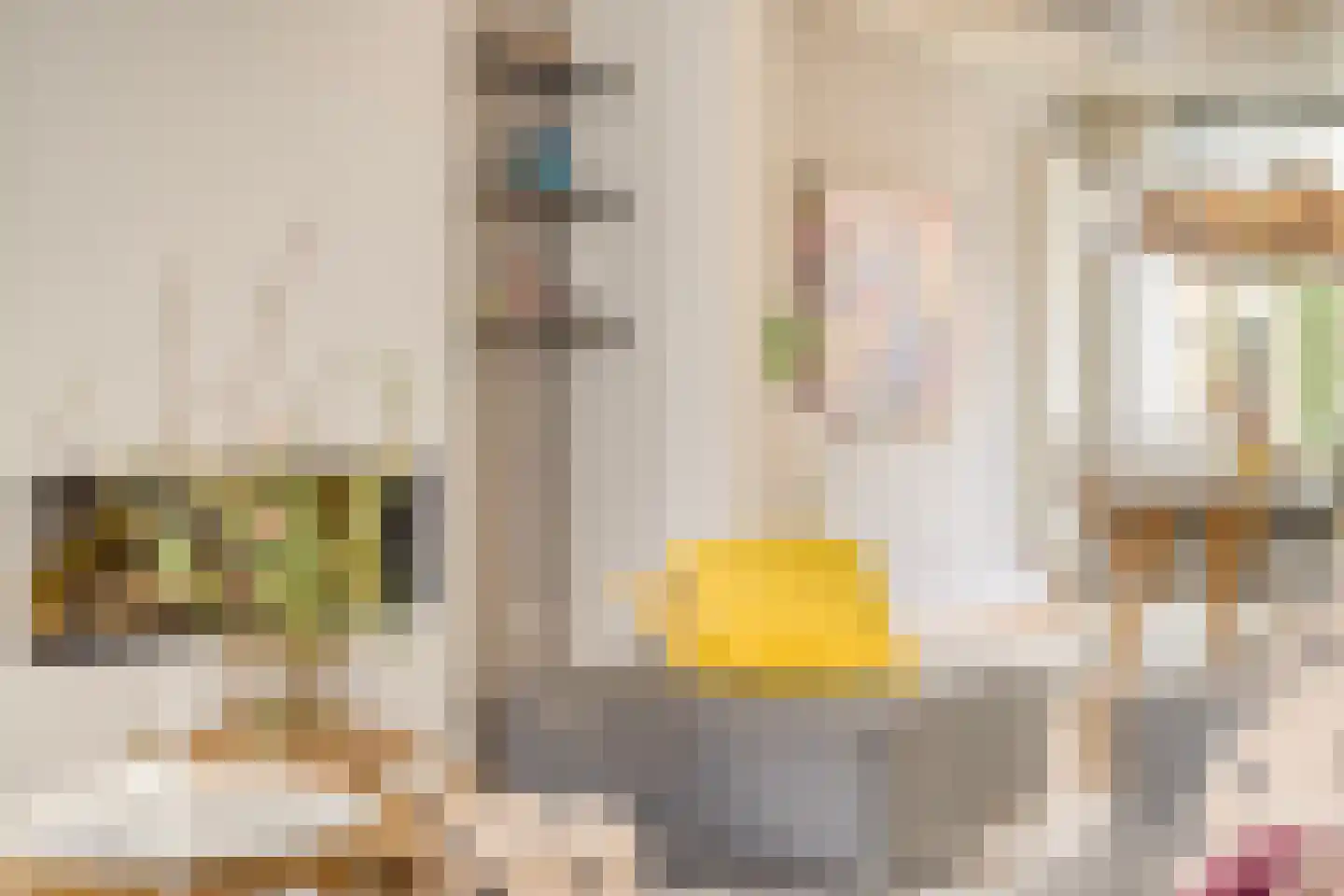 Anjelierstraat 13 Goes thumbnail 19
