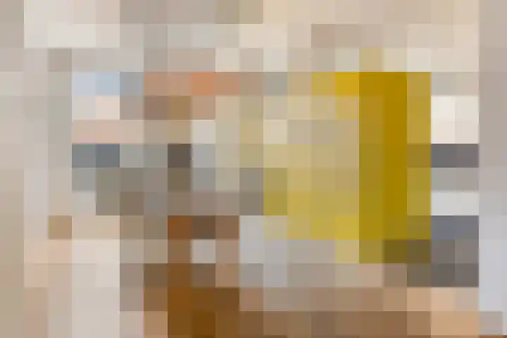 Anjelierstraat 13 Goes thumbnail 21