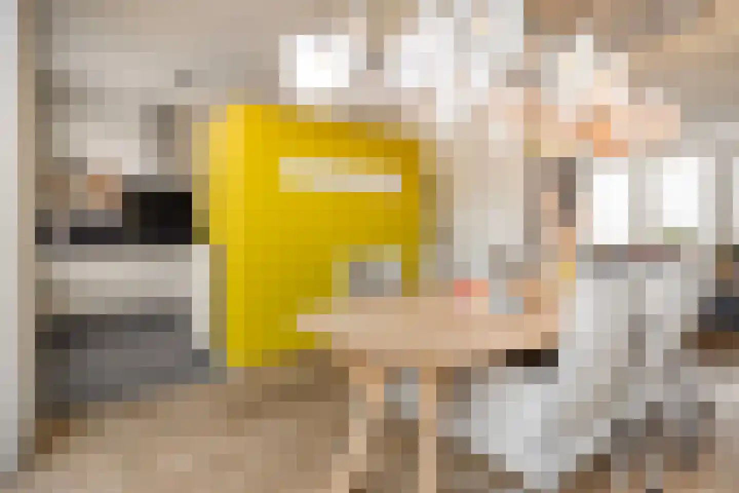 Anjelierstraat 13 Goes thumbnail 22