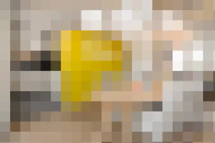 Anjelierstraat 13 Goes thumbnail 22