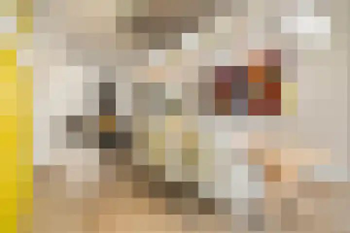 Anjelierstraat 13 Goes thumbnail 23