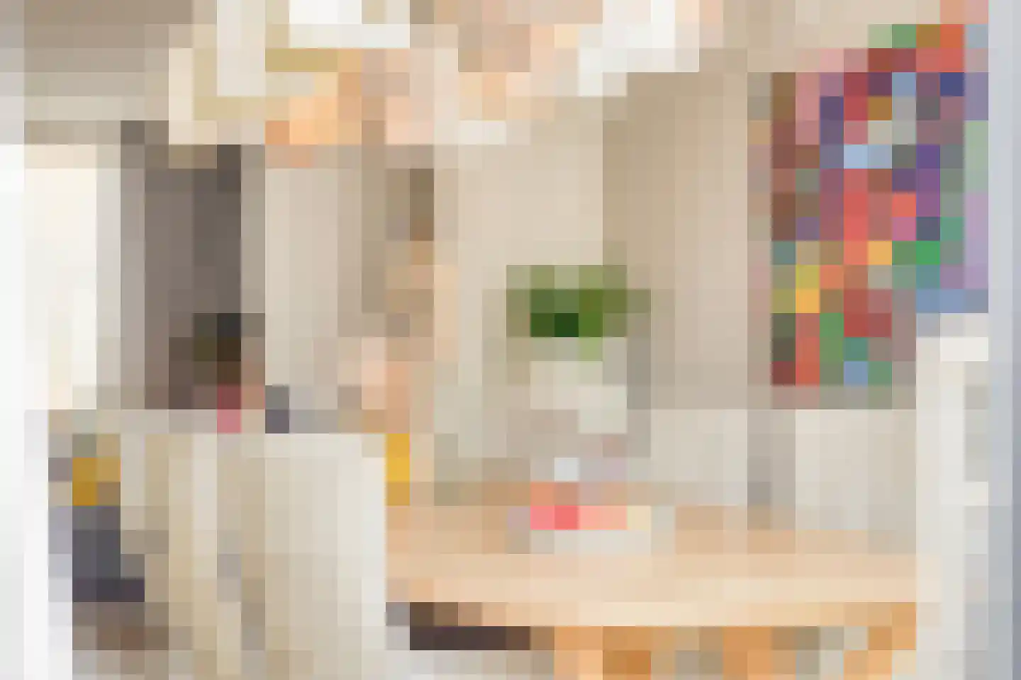 Anjelierstraat 13 Goes thumbnail 24