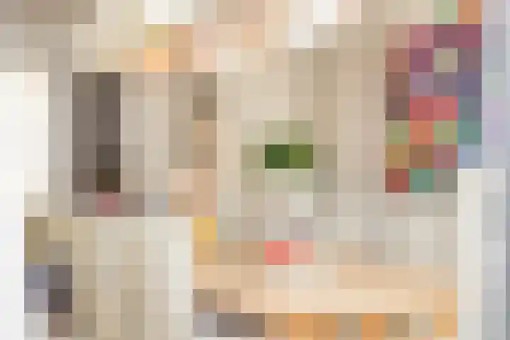 Anjelierstraat 13 Goes thumbnail 24