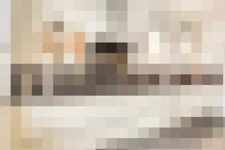 Anjelierstraat 13 Goes thumbnail 25
