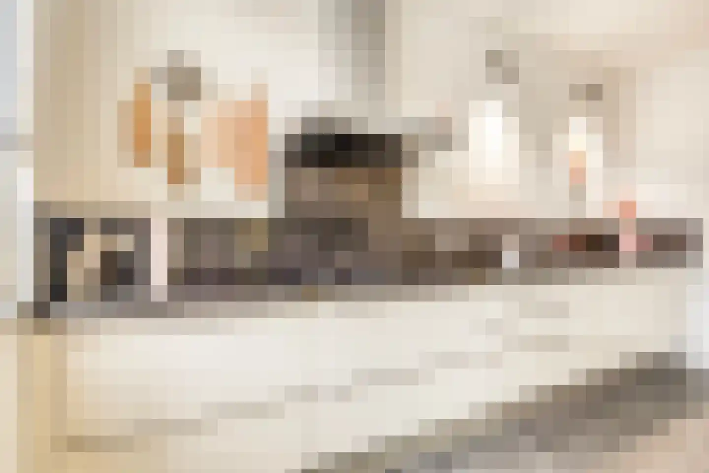 Anjelierstraat 13 Goes thumbnail 25