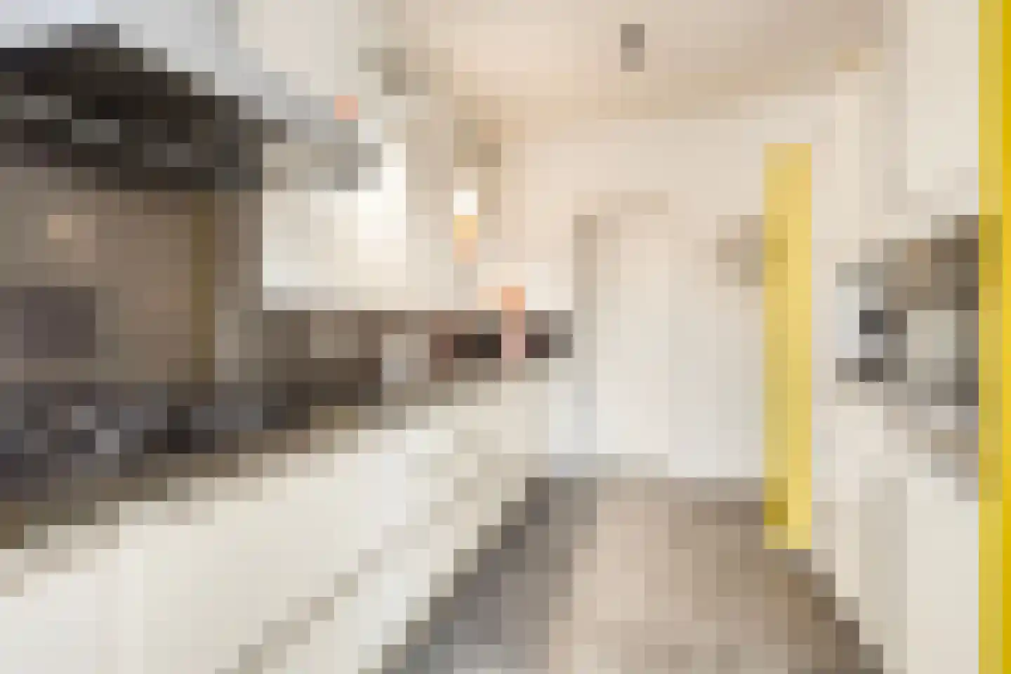 Anjelierstraat 13 Goes thumbnail 26