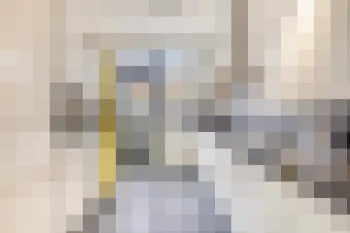 Anjelierstraat 13 Goes thumbnail 28
