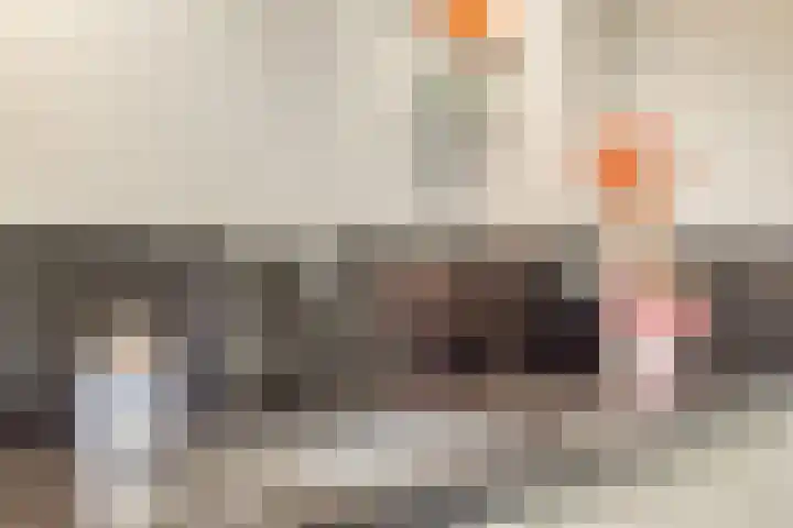 Anjelierstraat 13 Goes thumbnail 29
