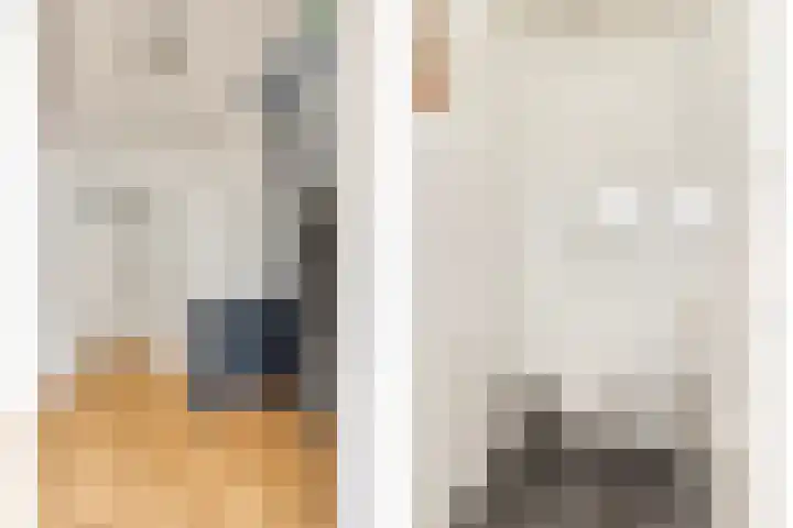 Anjelierstraat 13 Goes thumbnail 32