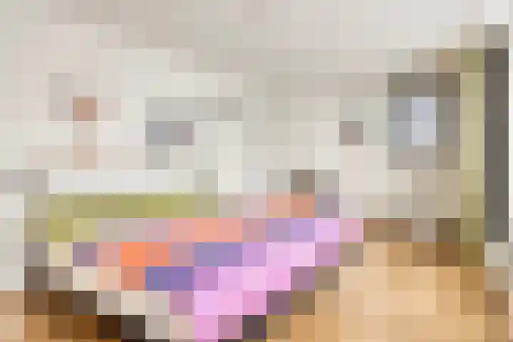 Anjelierstraat 13 Goes thumbnail 34