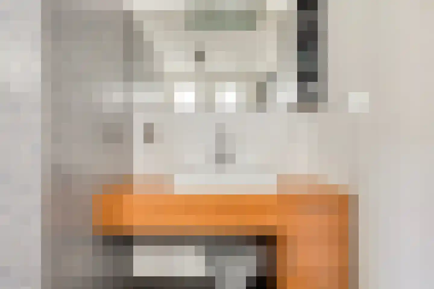 Anjelierstraat 13 Goes thumbnail 37