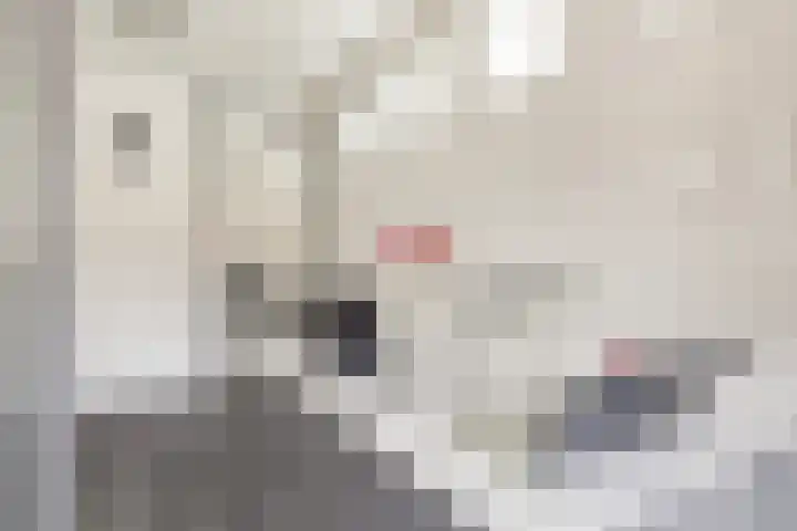 Anjelierstraat 13 Goes thumbnail 39