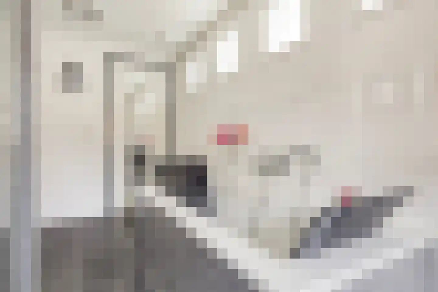 Anjelierstraat 13 Goes thumbnail 39