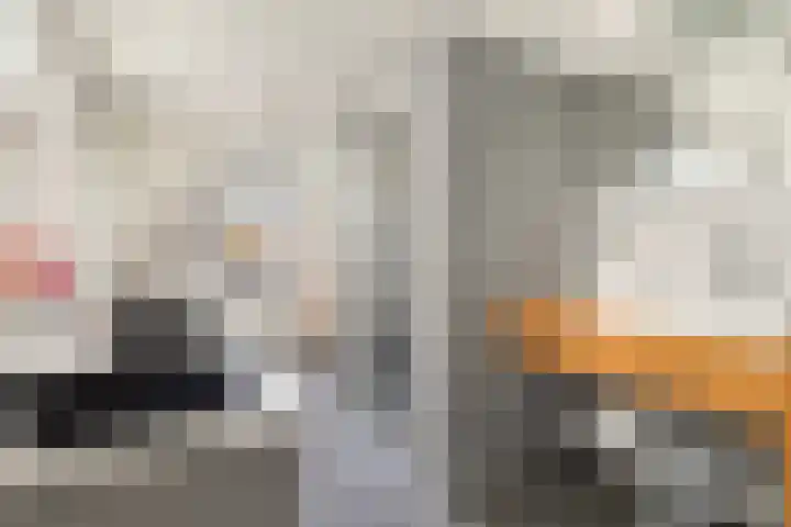 Anjelierstraat 13 Goes thumbnail 4
