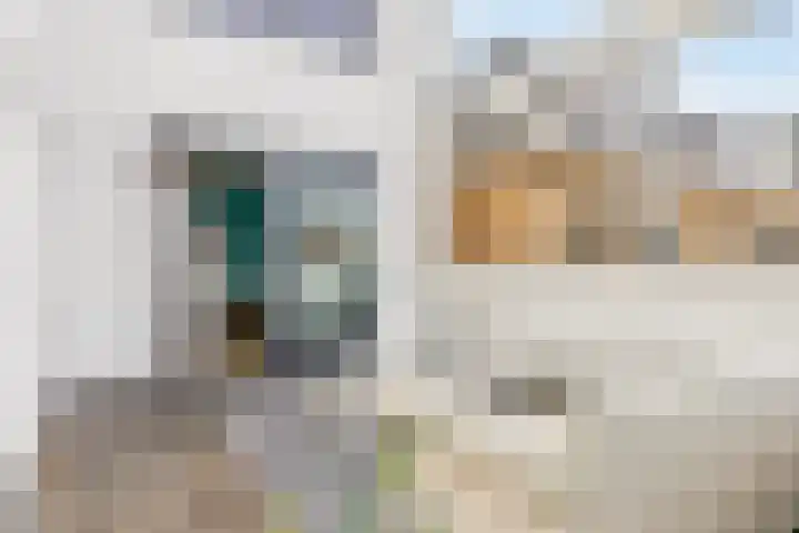Anjelierstraat 13 Goes thumbnail 42