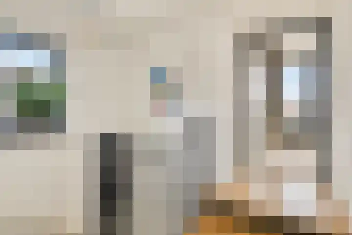 Anjelierstraat 13 Goes thumbnail 43