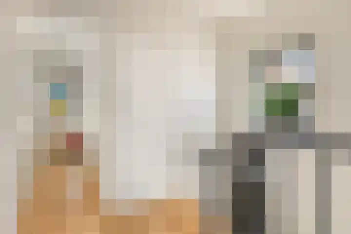 Anjelierstraat 13 Goes thumbnail 44
