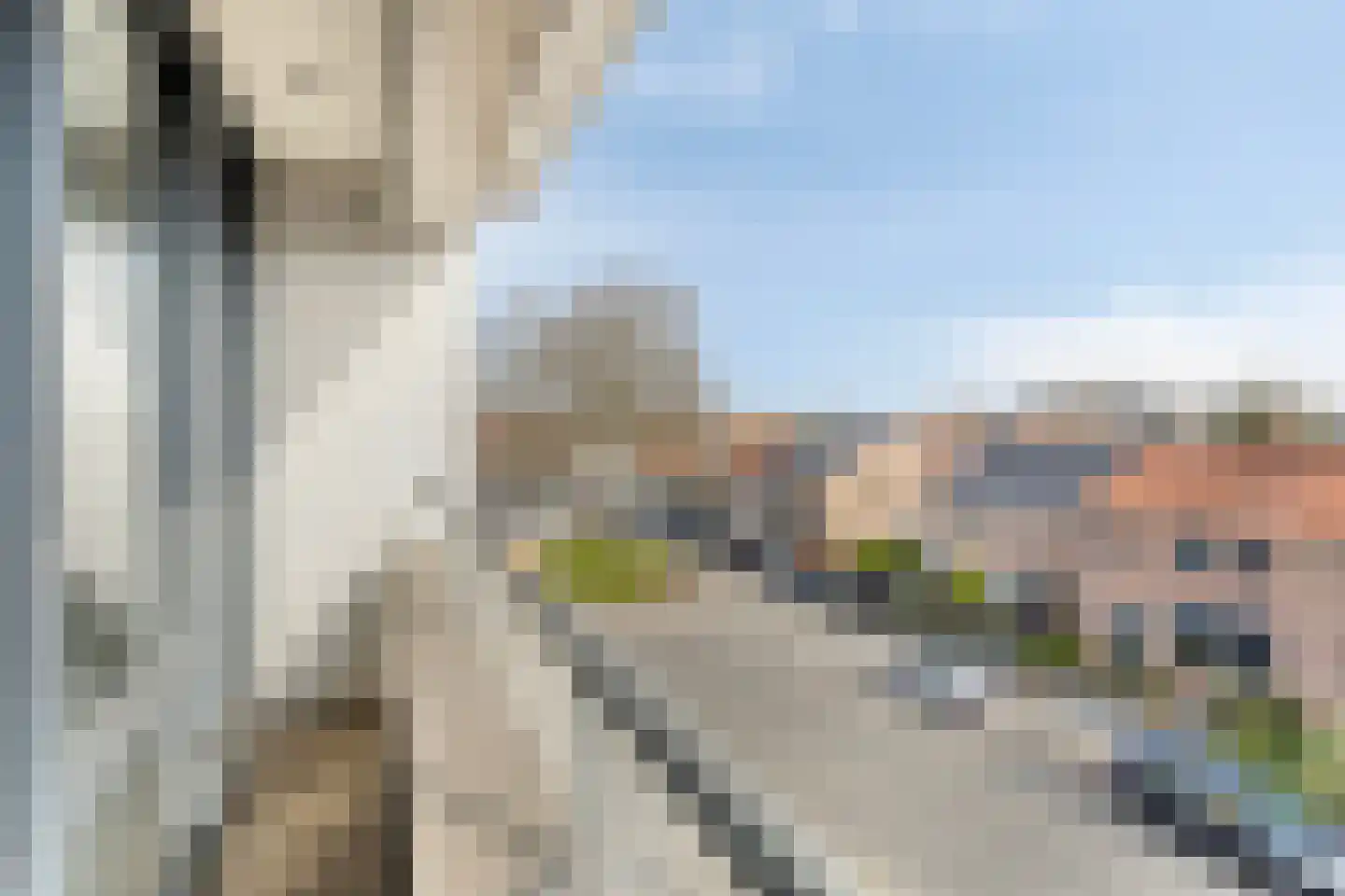 Anjelierstraat 13 Goes thumbnail 47