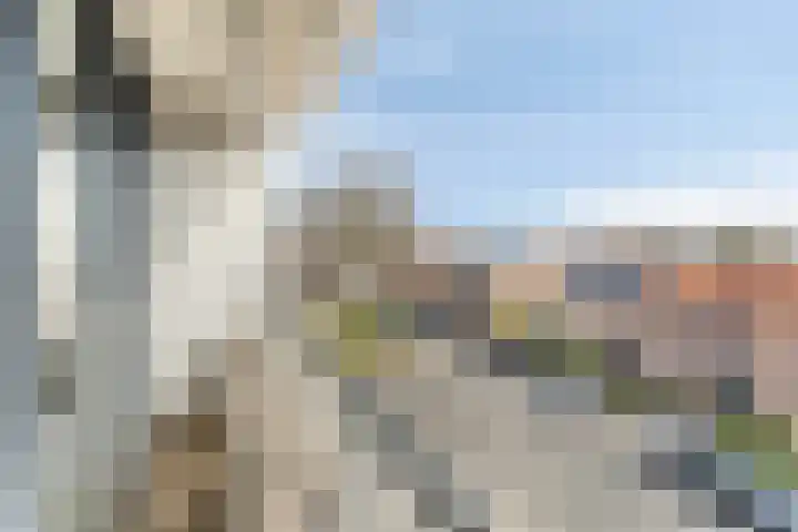 Anjelierstraat 13 Goes thumbnail 47