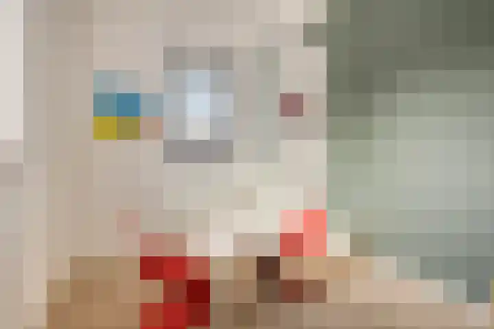 Anjelierstraat 13 Goes thumbnail 49