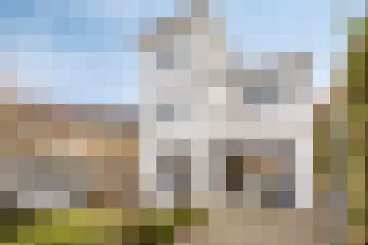 Anjelierstraat 13 Goes thumbnail 5