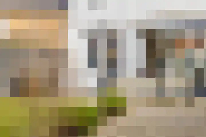 Anjelierstraat 13 Goes thumbnail 54