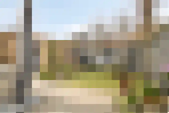 Anjelierstraat 13 Goes thumbnail 56