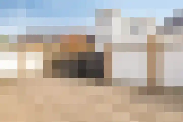 Anjelierstraat 13 Goes thumbnail 59