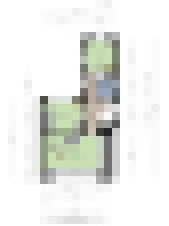 Anjelierstraat 13 Goes thumbnail 63