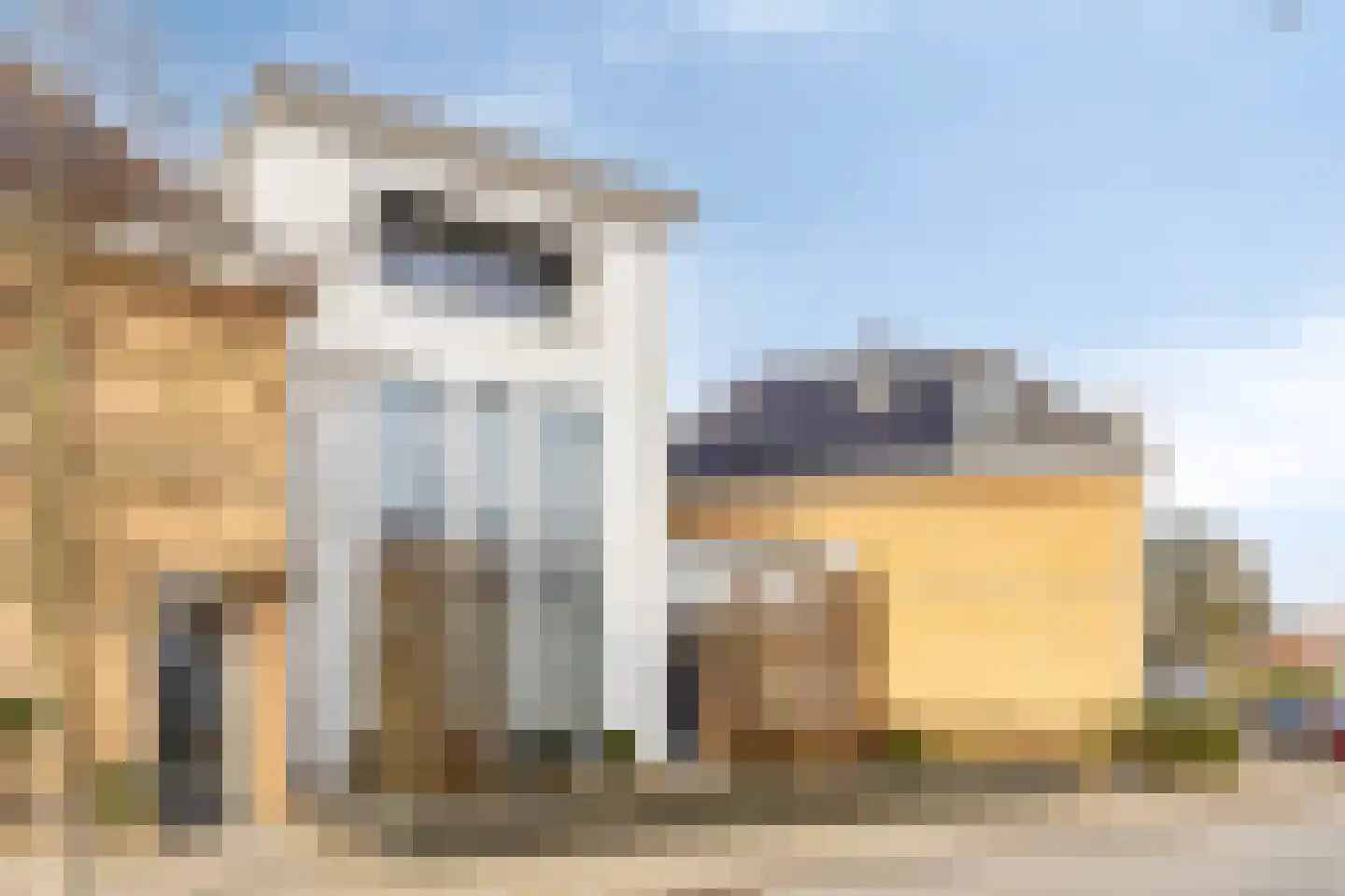 Anjelierstraat 13 Goes thumbnail 8