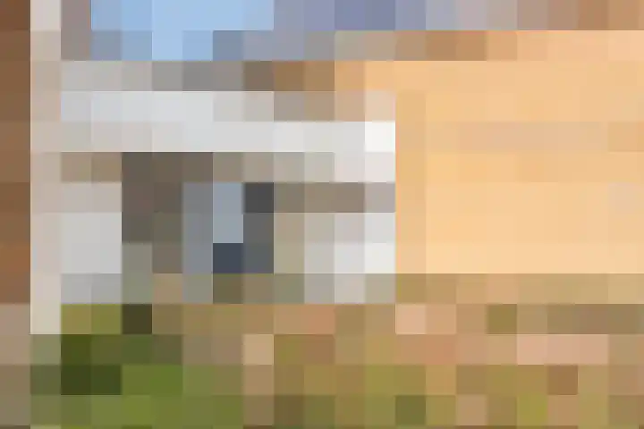 Anjelierstraat 13 Goes thumbnail 9