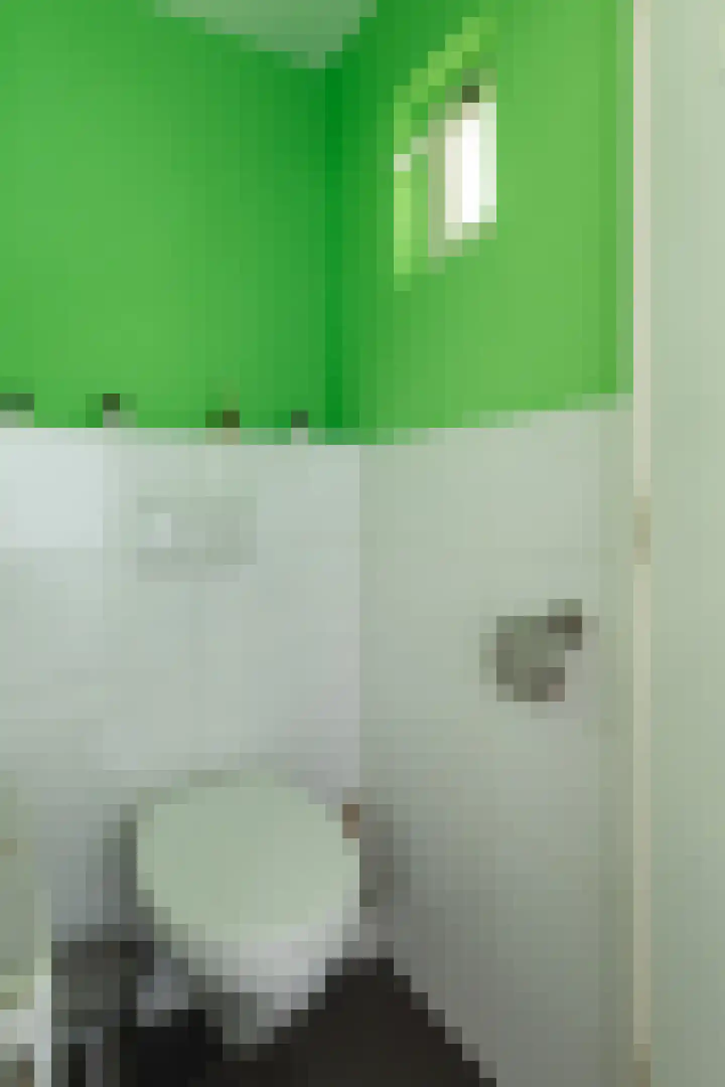 Anjelierstraat 13 Hilversum thumbnail 11
