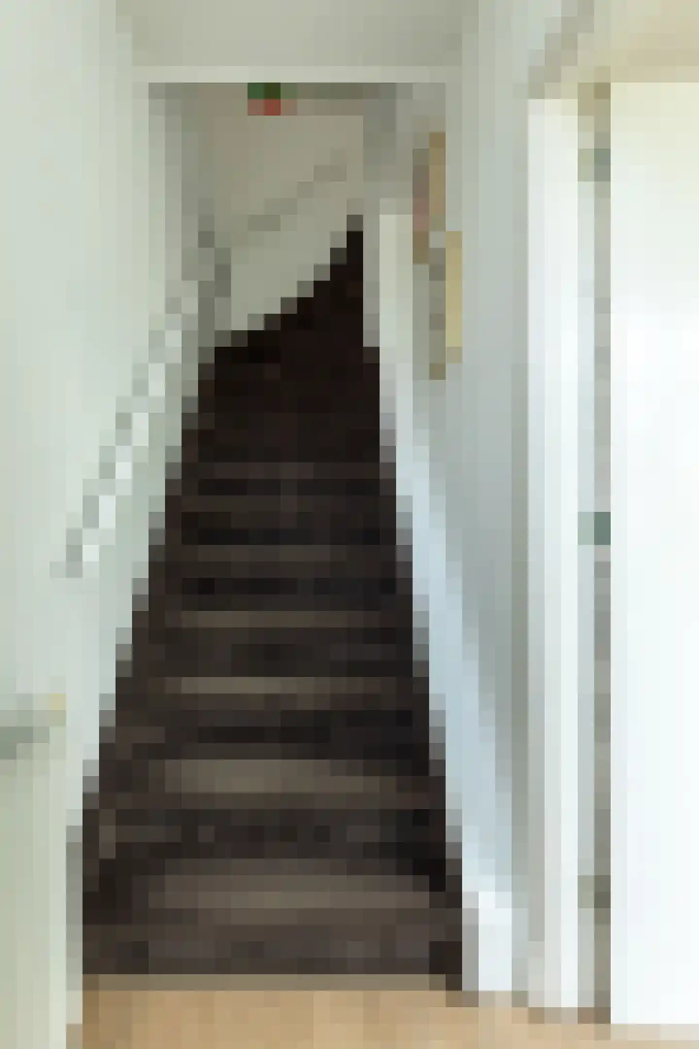 Anjelierstraat 13 Hilversum thumbnail 12