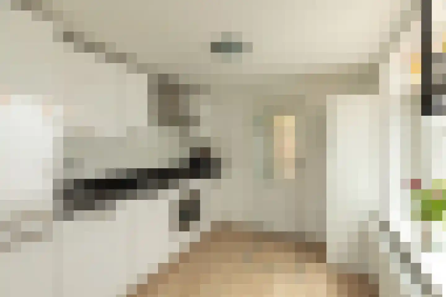 Anjelierstraat 13 Hilversum thumbnail 9