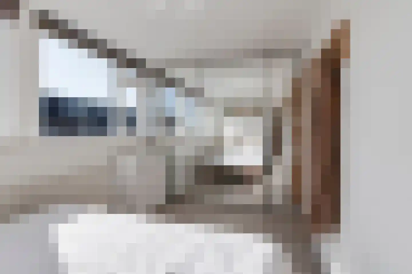 Anjelierstraat 14 Culemborg thumbnail 27