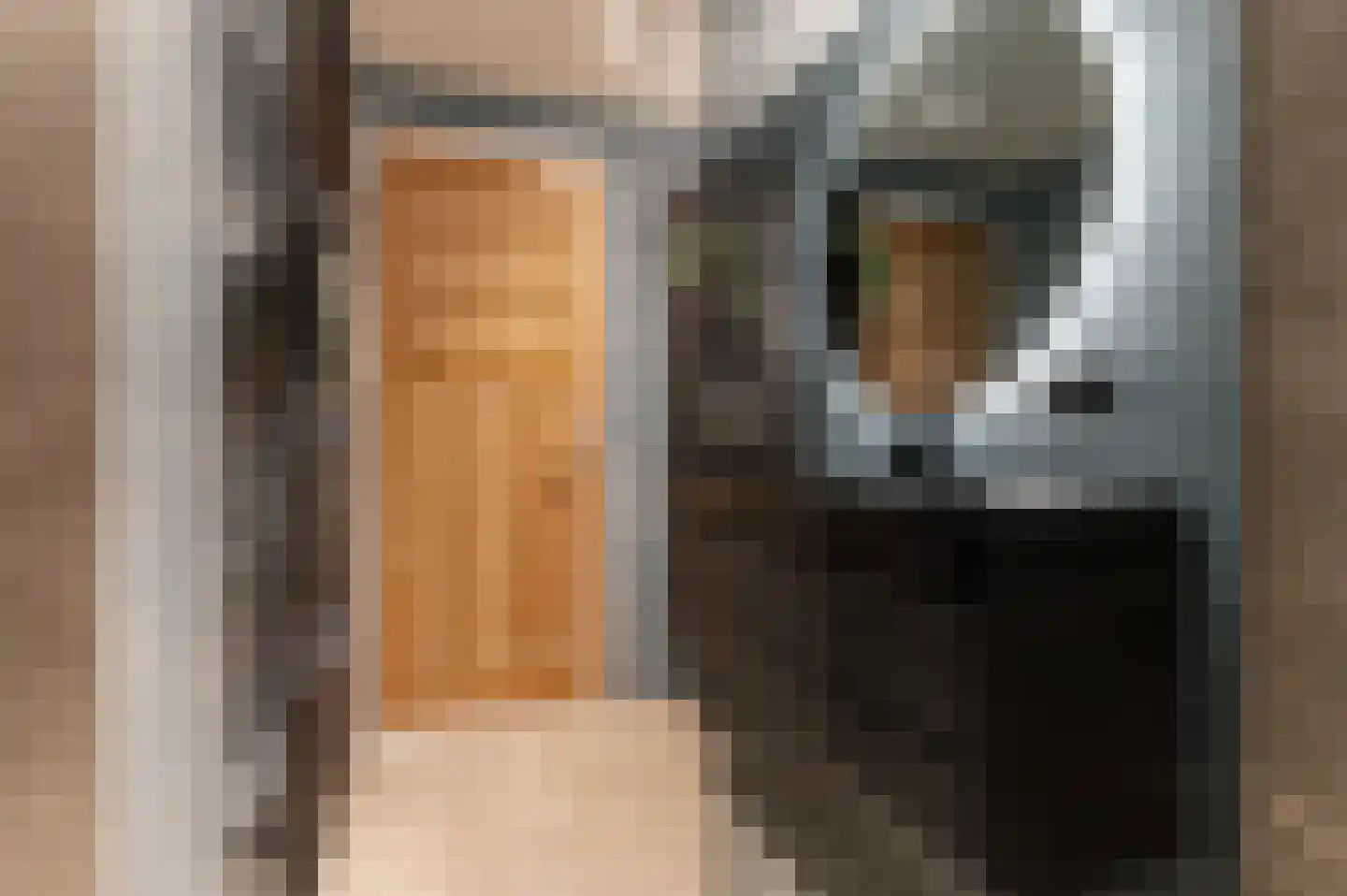 Anjelierstraat 14 Culemborg thumbnail 32