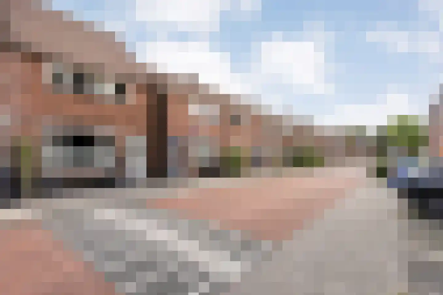 Anjelierstraat 14 Meppel thumbnail 10