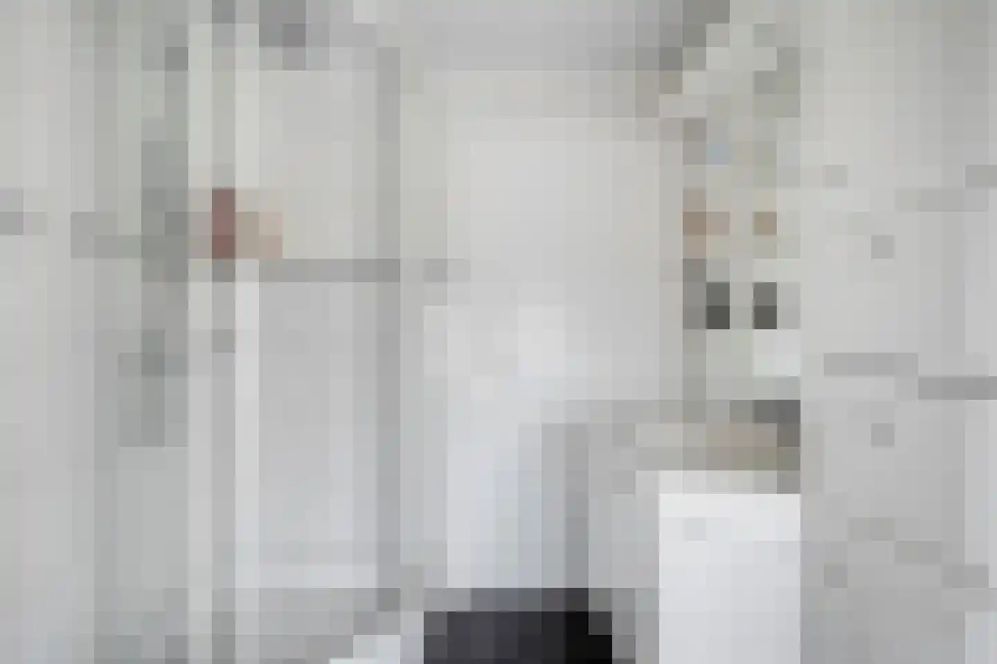 Anjelierstraat 14 Meppel thumbnail 34