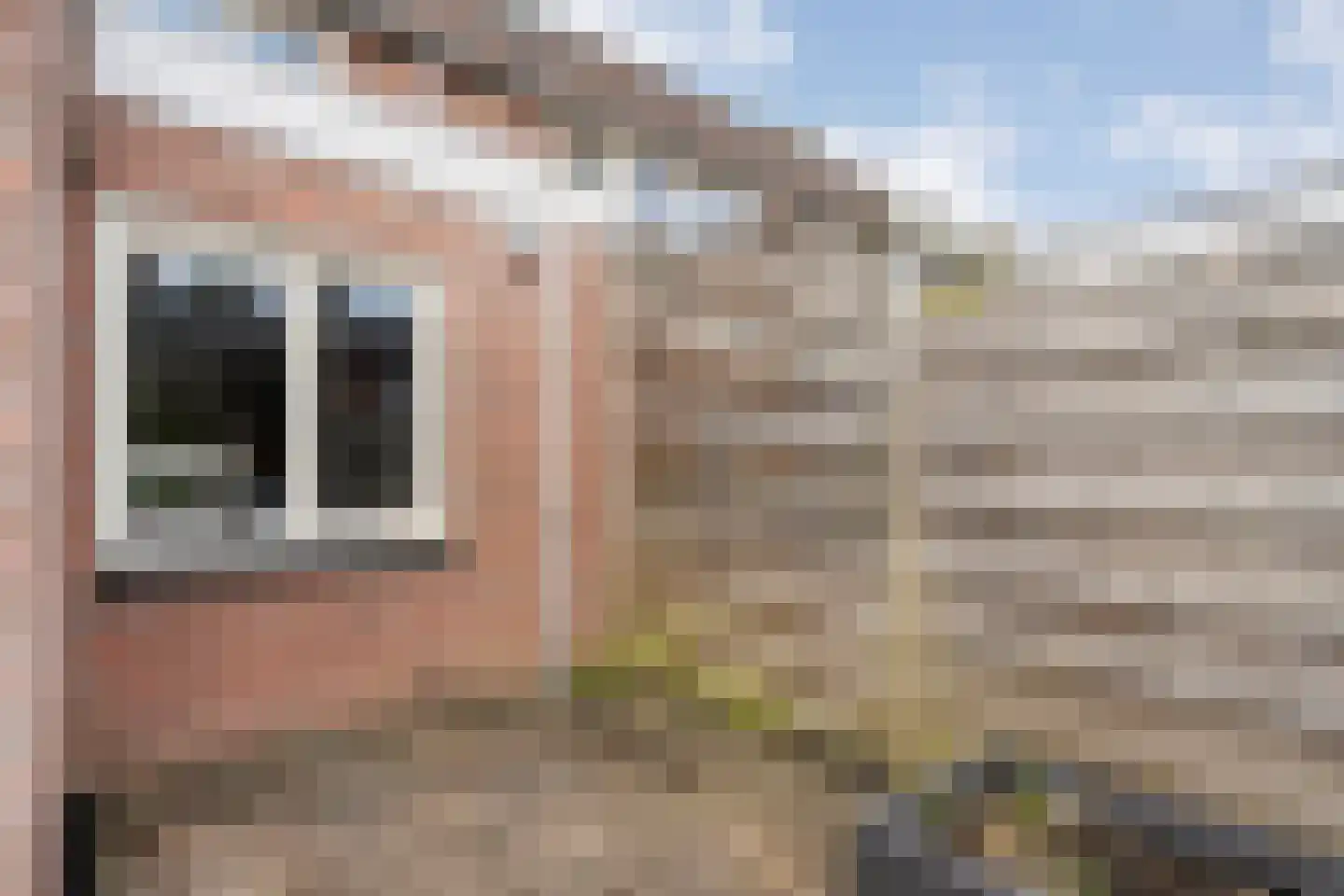 Anjelierstraat 14 Meppel thumbnail 38