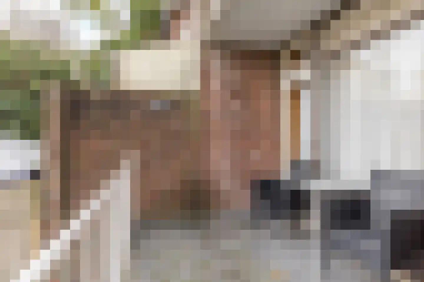 Anjelierstraat 143 Heerlen thumbnail 25