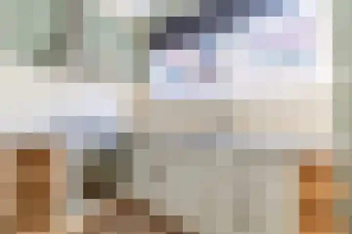 Anjelierstraat 15 Dokkum thumbnail 14